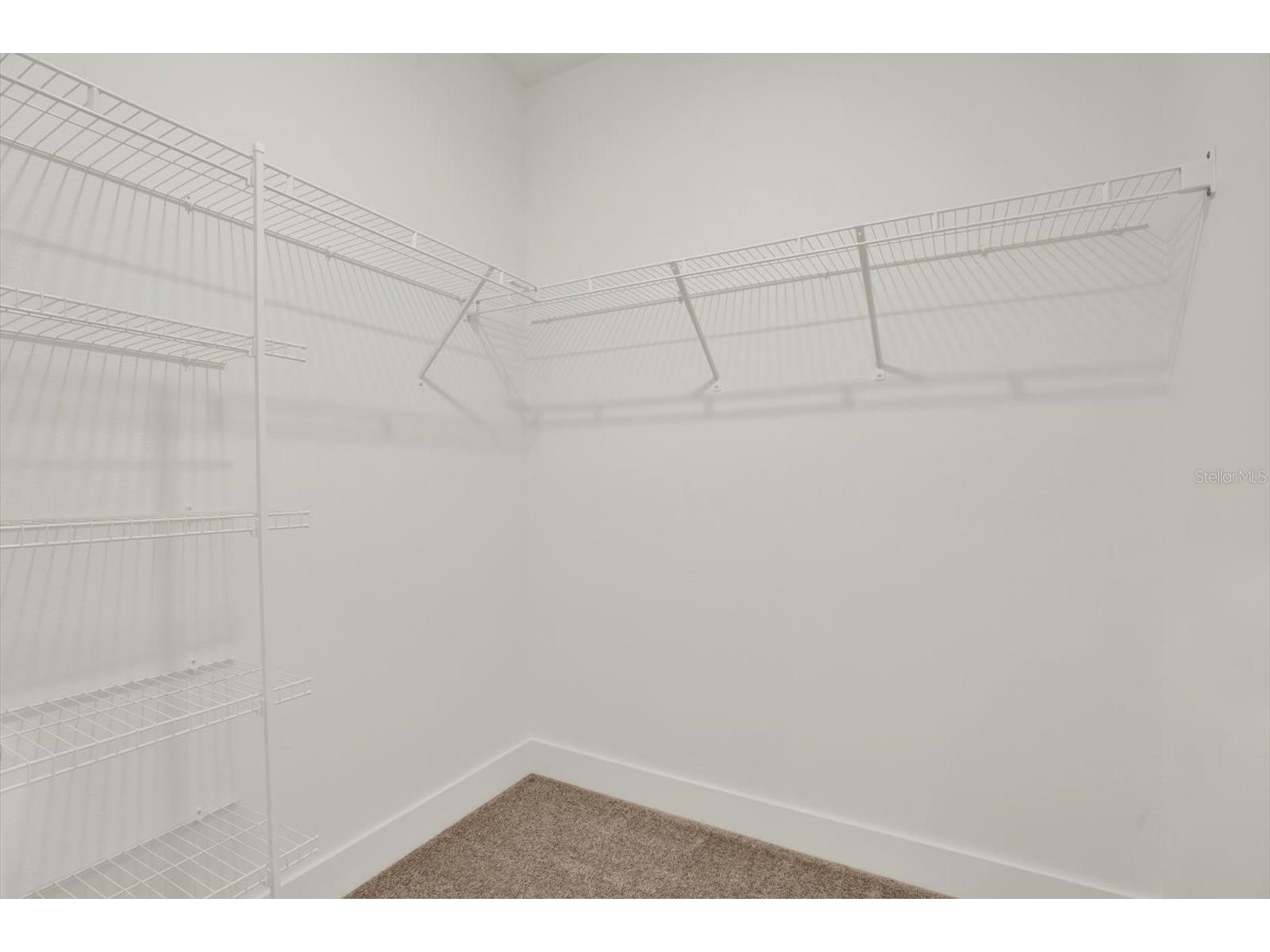 33018 Frosted Clover Way Wesley Chapel FL 33545 TB8462052 image22