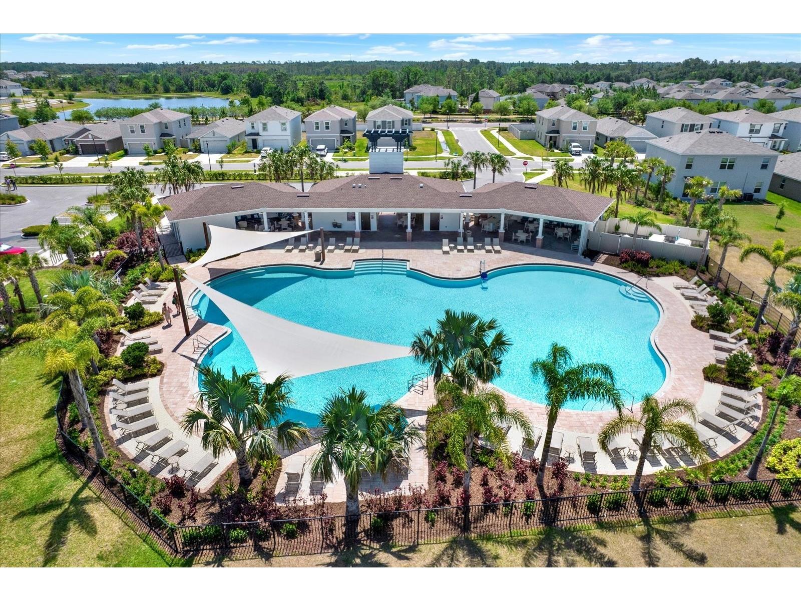 33018 Frosted Clover Way Wesley Chapel FL 33545 TB8462052 image43