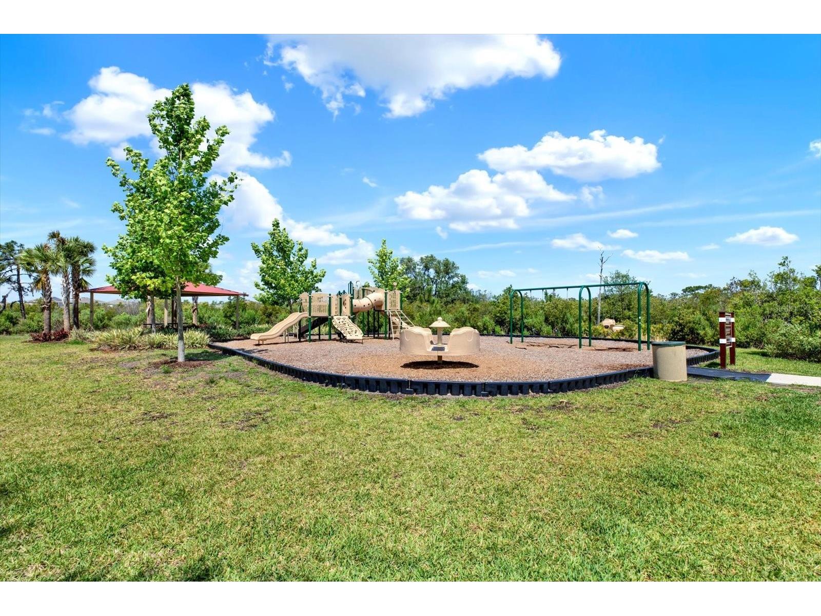 33018 Frosted Clover Way Wesley Chapel FL 33545 TB8462052 image45