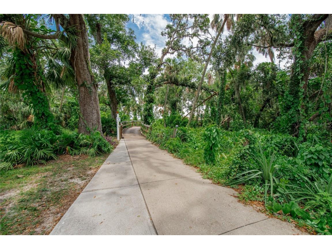 3302 Evelyn Drive Ellenton FL 34222 TB8409250 image36