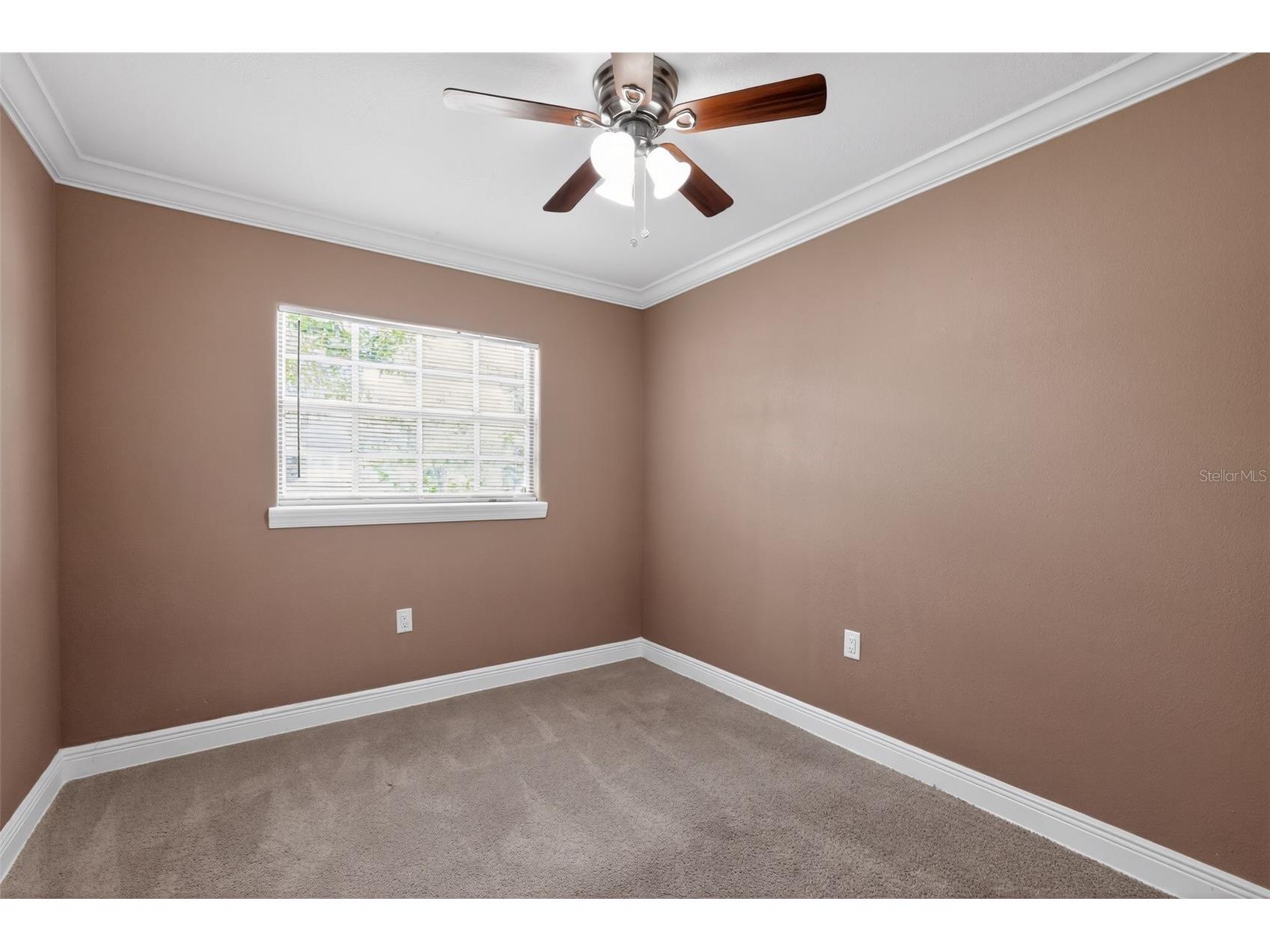 3302 River Cove Drive Tampa FL 33614 TB8485516 image12