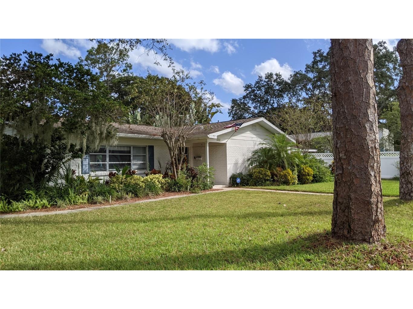 3302 S Omar Avenue Tampa FL 33629 T3338023 image1
