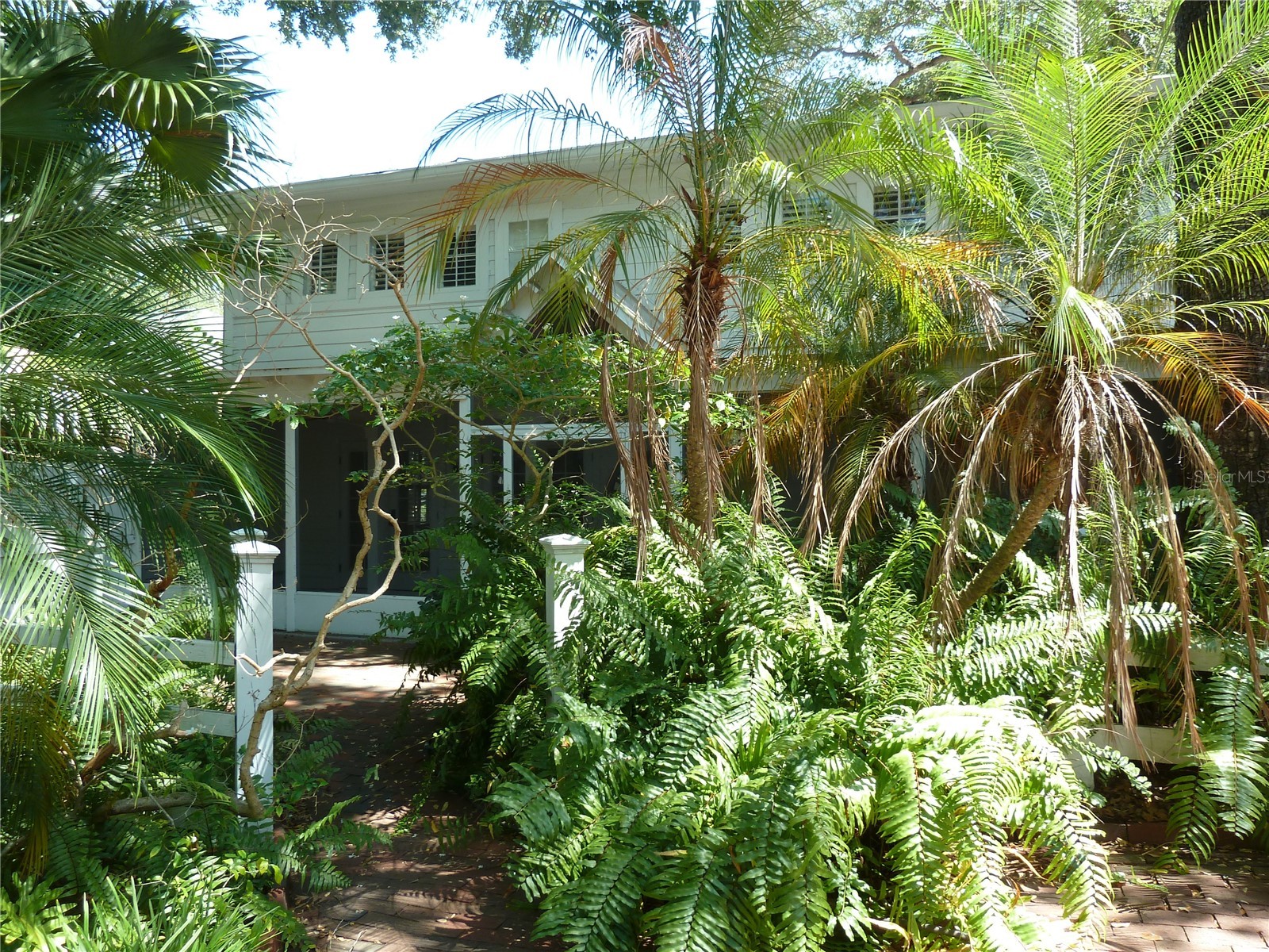 3302 W Villa Rosa Street Tampa FL 33611 TB8528439 image30