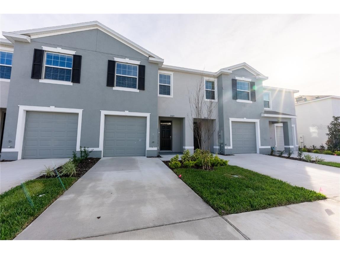 33024 Tulip Petal Lane Wesley Chapel FL 33545 T3491566 image1