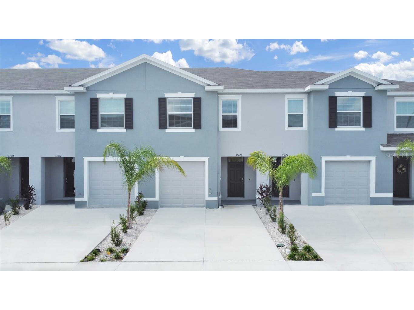 33028 Frosted Clover Way Wesley Chapel FL 33545 T3465996 image1