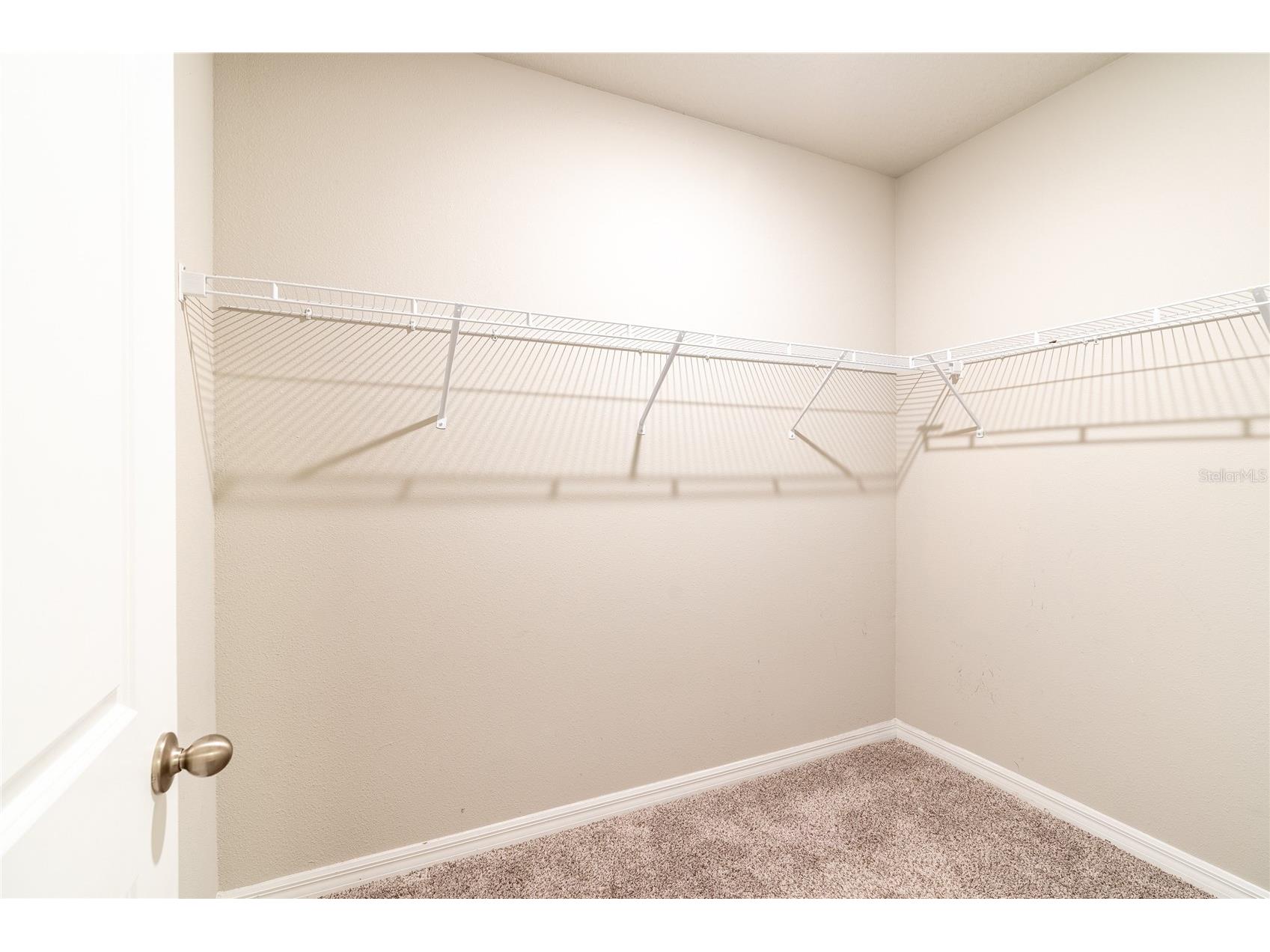 3303 Asher Moon Lane Zephyrhills FL 33540 TB8524630 image18