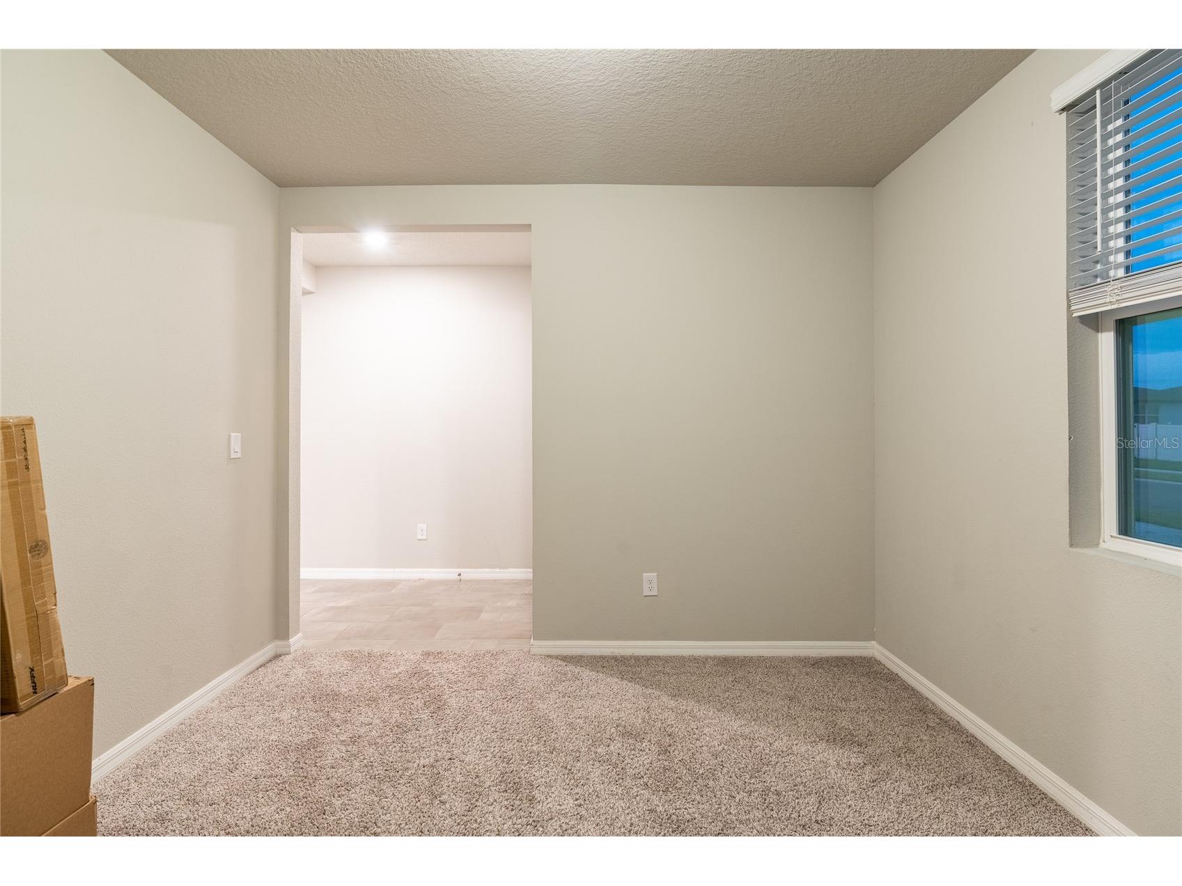 3303 Asher Moon Lane Zephyrhills FL 33540 TB8524630 image32