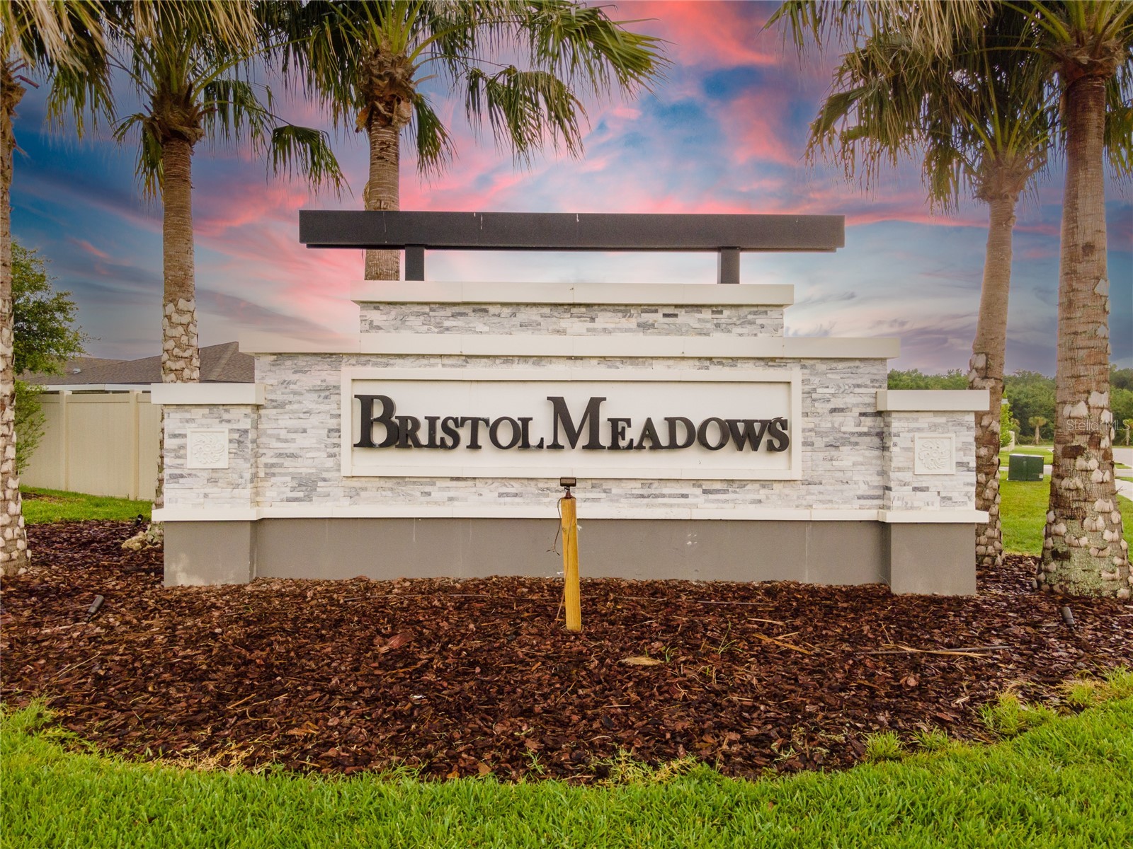 3303 Asher Moon Lane Zephyrhills FL 33540 TB8524630 image36