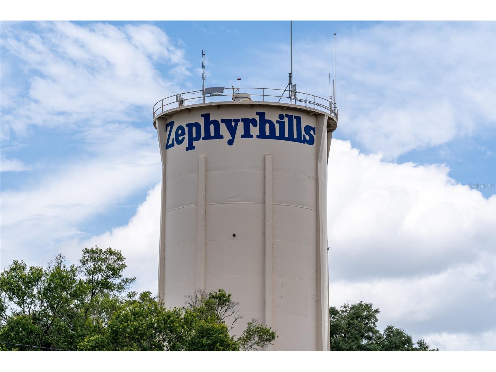 3303 Asher Moon Lane Zephyrhills FL 33540 TB8524630 image43