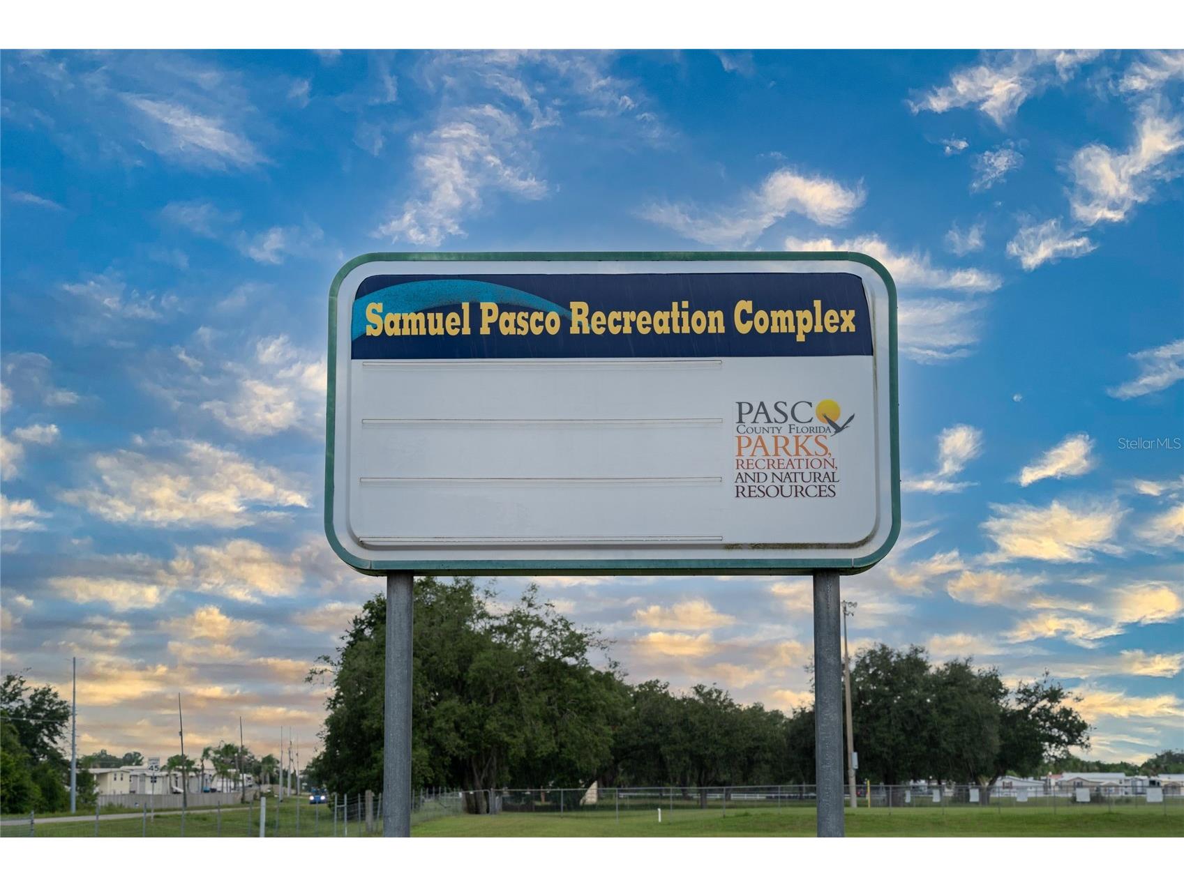 3303 Asher Moon Lane Zephyrhills FL 33540 TB8524630 image44