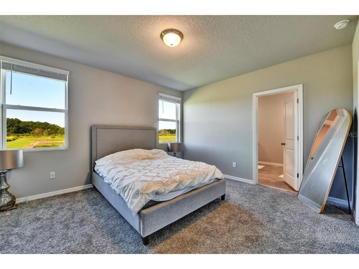 3303 Asher Moon Lane Zephyrhills FL 33540 W7880054 image27