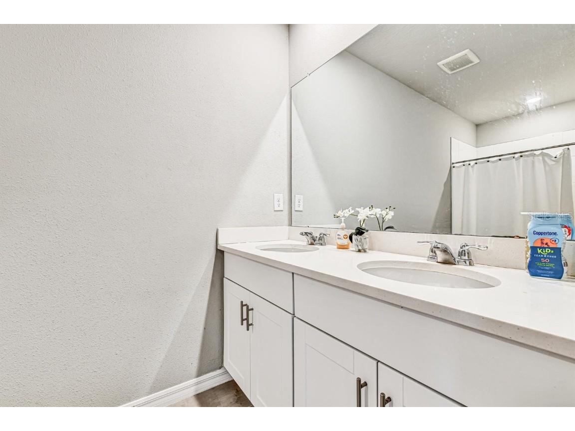 3303 Asher Moon Lane Zephyrhills FL 33540 W7880054 image34