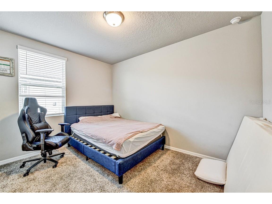 3303 Asher Moon Lane Zephyrhills FL 33540 W7880054 image38