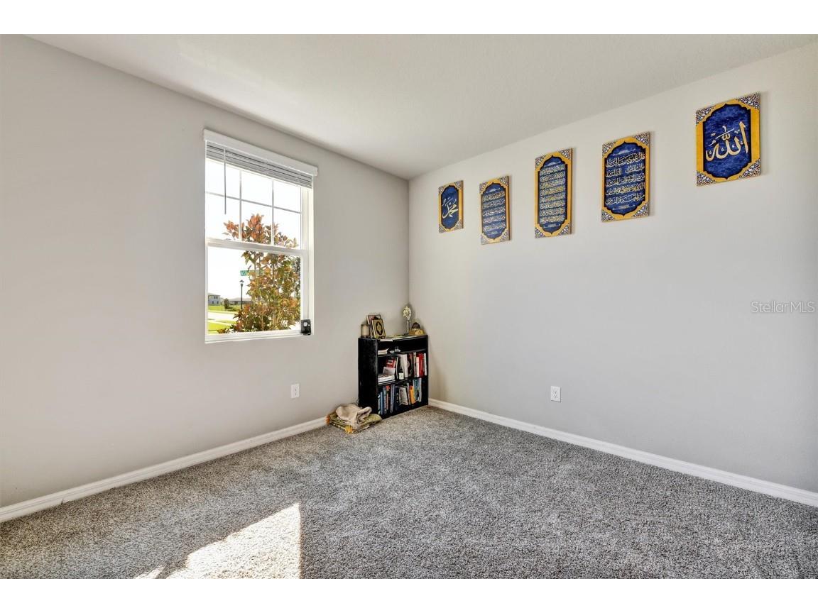 3303 Asher Moon Lane Zephyrhills FL 33540 W7880054 image41