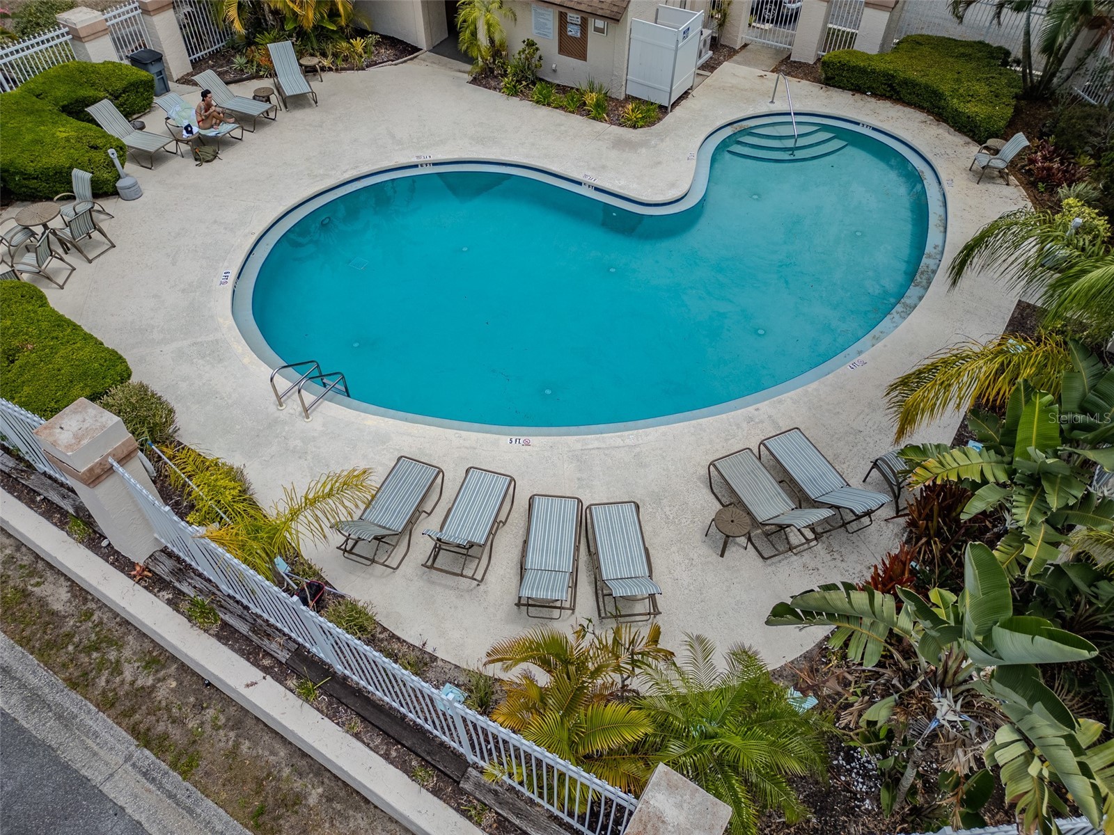 3303 Brigadoon Drive Clearwater FL 33759 TB8502519 image36