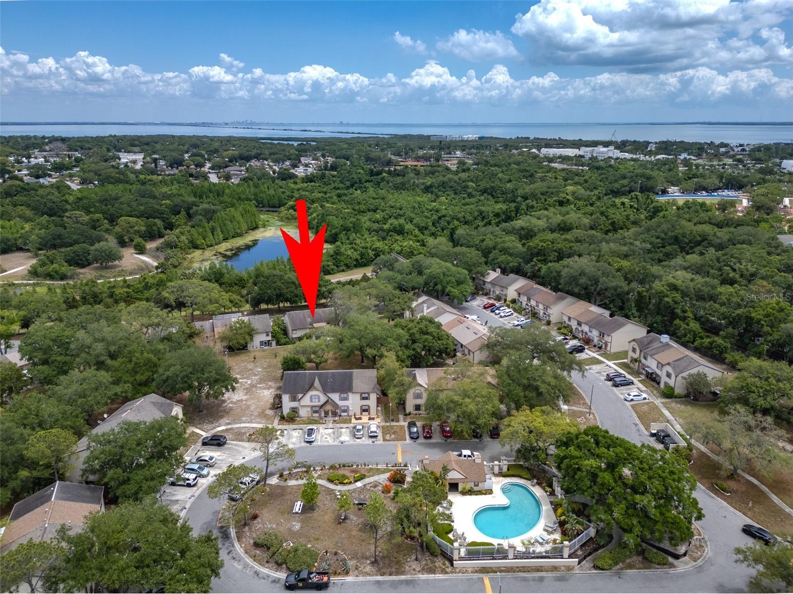3303 Brigadoon Drive Clearwater FL 33759 TB8502519 image40