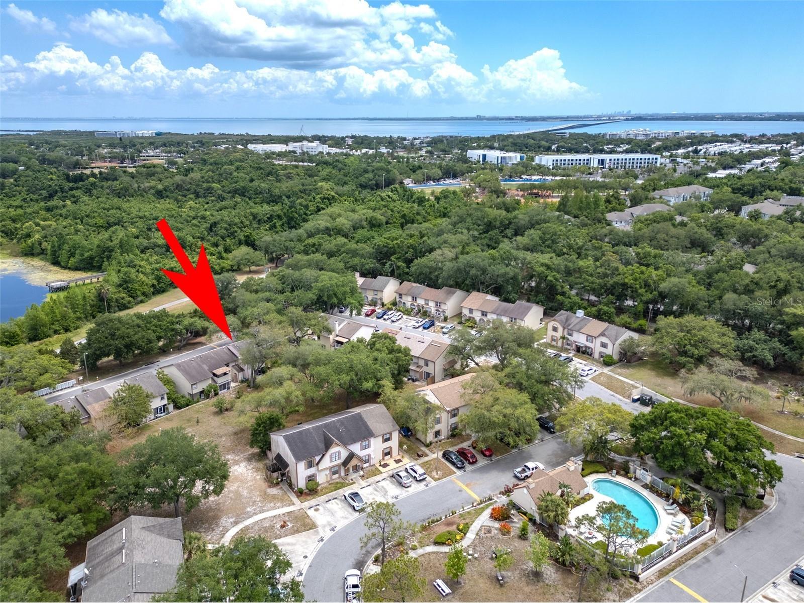 3303 Brigadoon Drive Clearwater FL 33759 TB8502519 image41