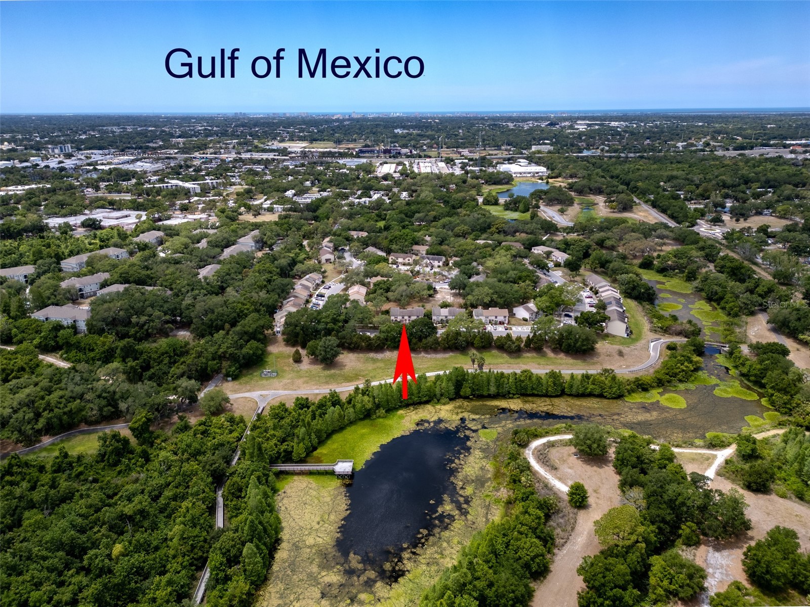 3303 Brigadoon Drive Clearwater FL 33759 TB8502519 image43