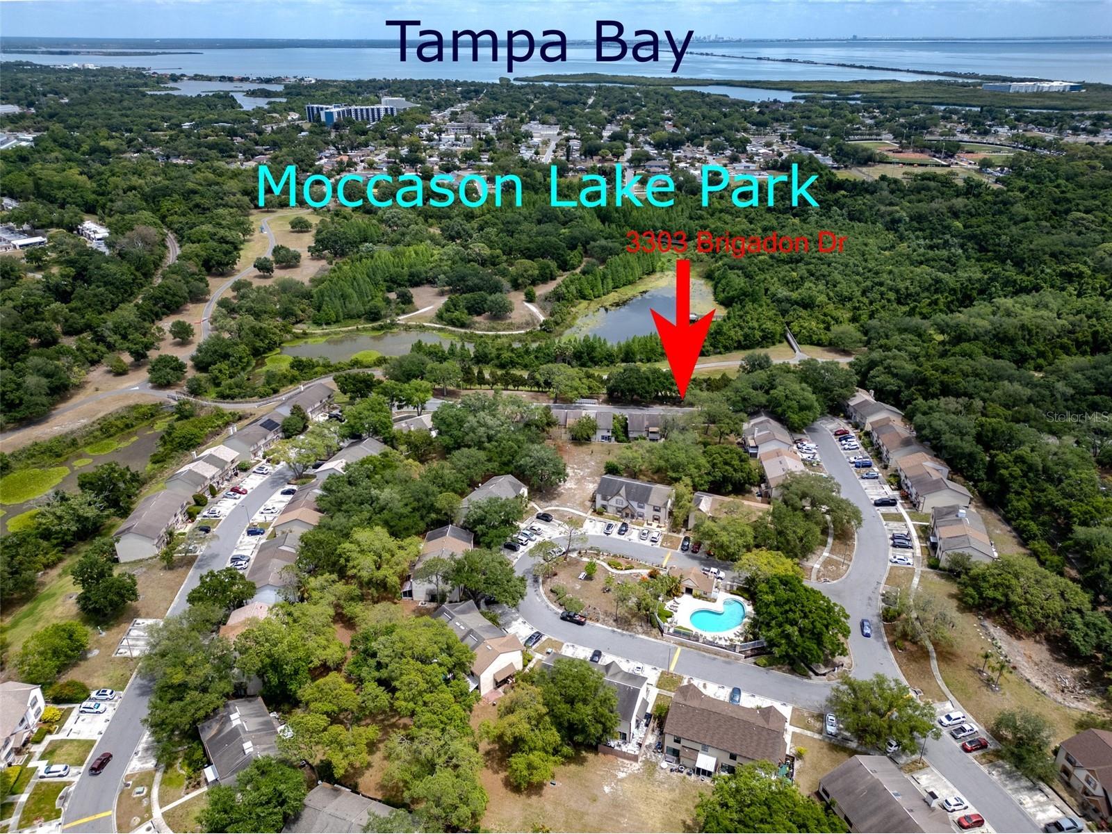 3303 Brigadoon Drive Clearwater FL 33759 TB8502519 image45
