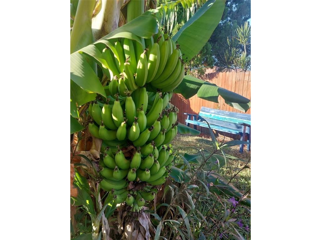 3303 Florida Boulevard Bradenton FL 34207 - SARASOTA BAY A4675003 image30