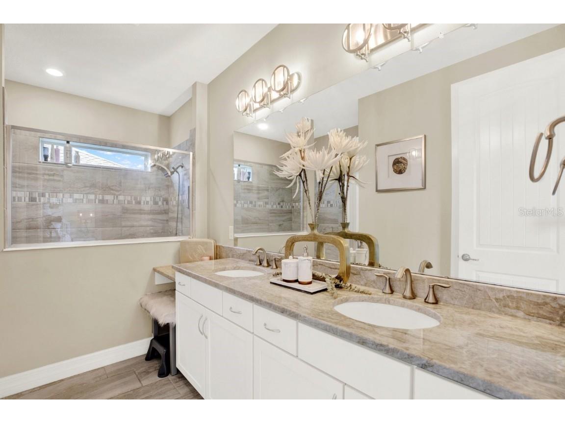 3303 Monroe Meadows Drive Odessa FL 33556 TB8420178 image13