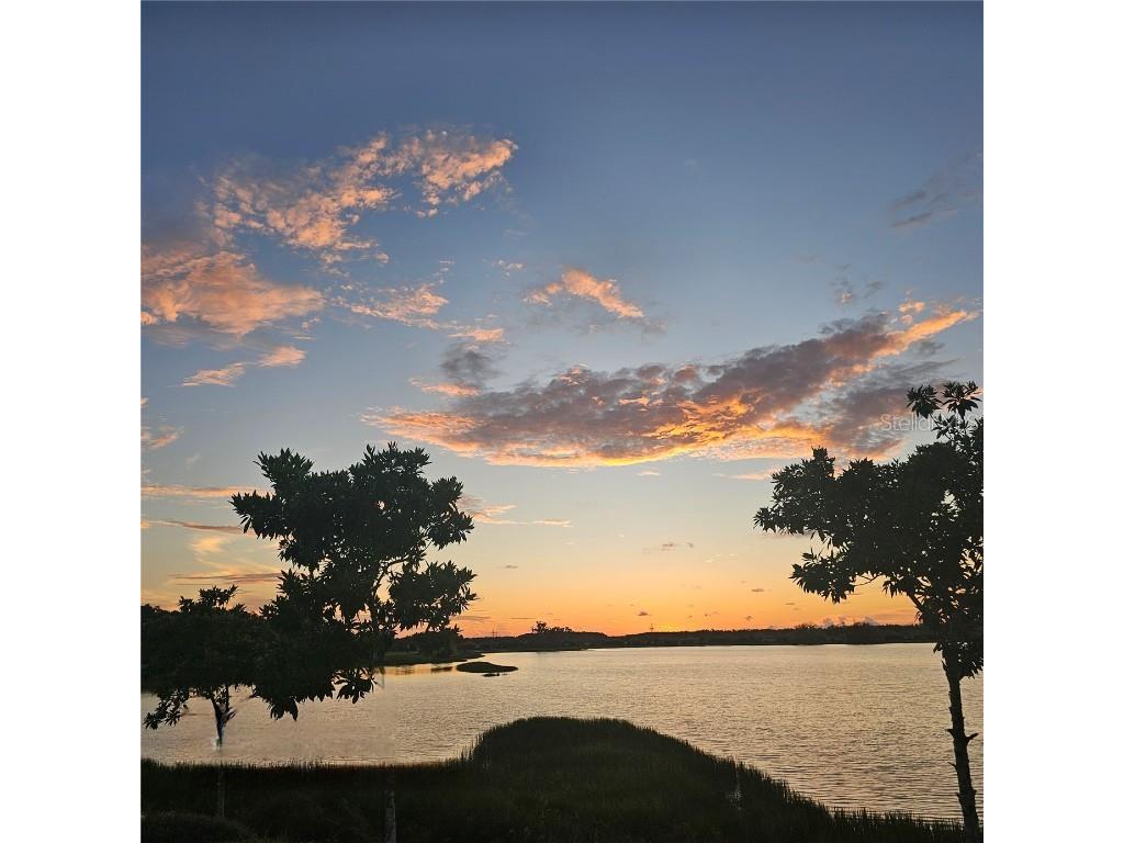 3303 Monroe Meadows Drive Odessa FL 33556 TB8420178 image23