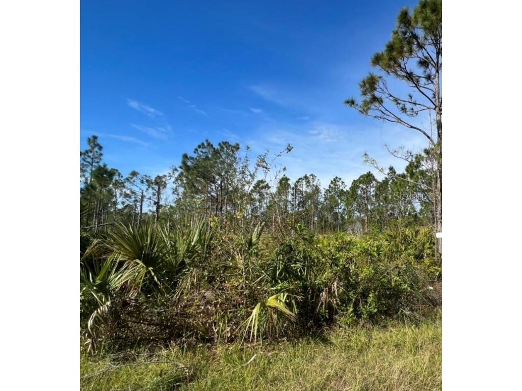 3303 Slater Street Port Charlotte FL 33980 C7473452 image1