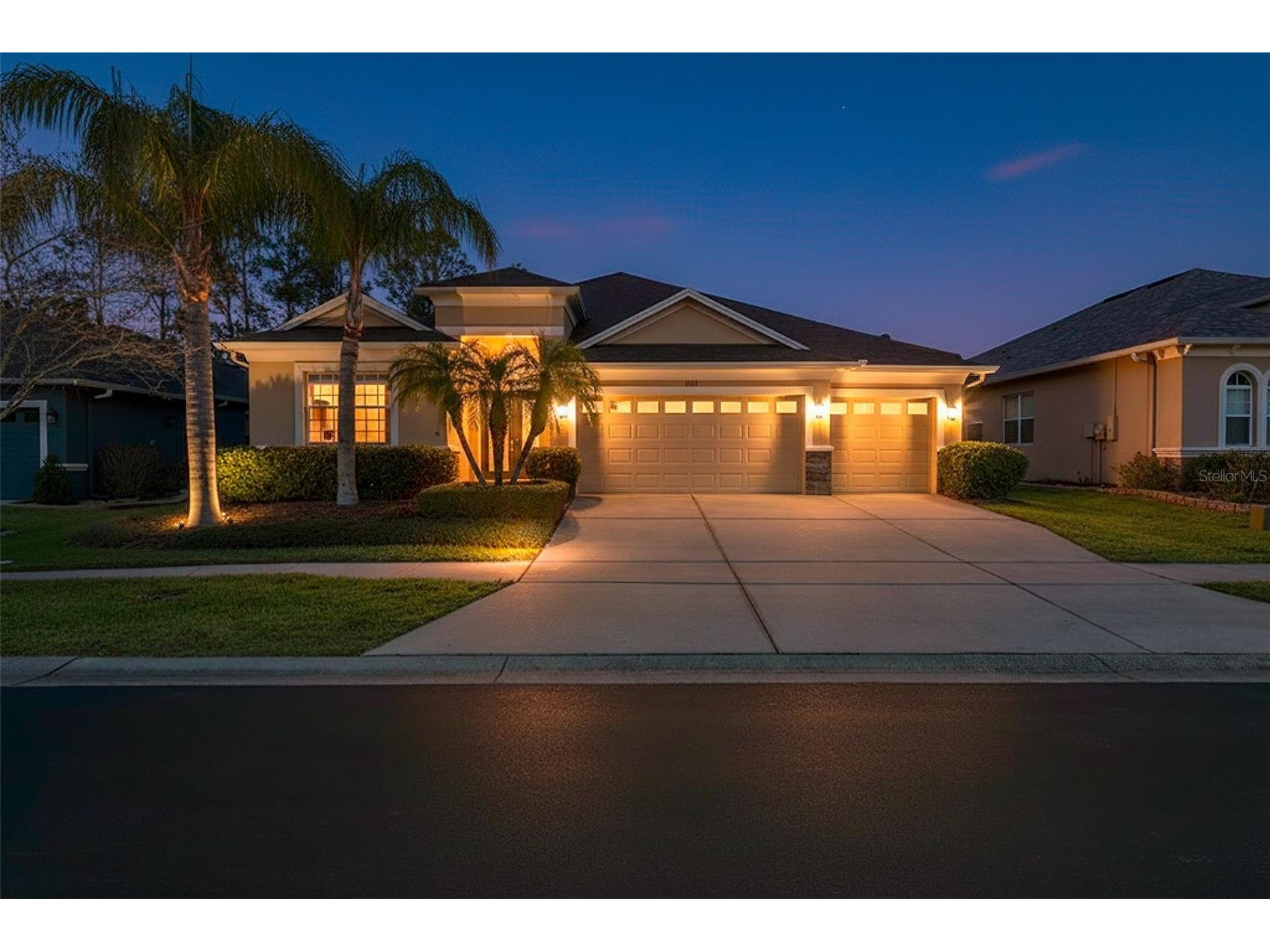 3303 Stonegate Falls Drive Land O Lakes FL 34638 W7883182 image1