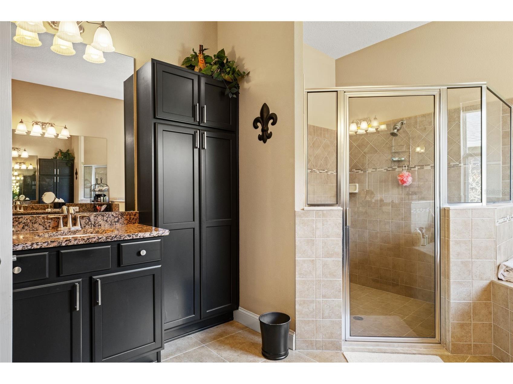3303 Stonegate Falls Drive Land O Lakes FL 34638 W7883182 image34