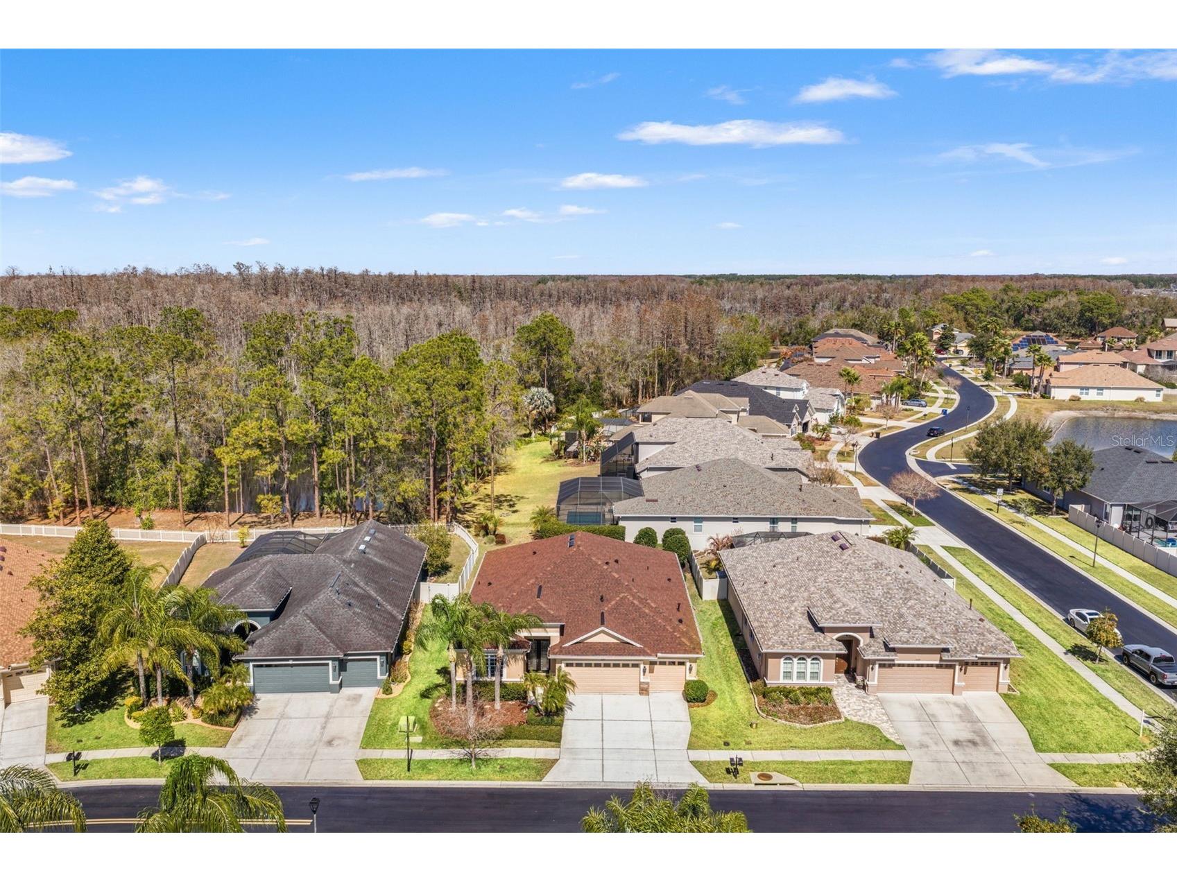 3303 Stonegate Falls Drive Land O Lakes FL 34638 W7883182 image6