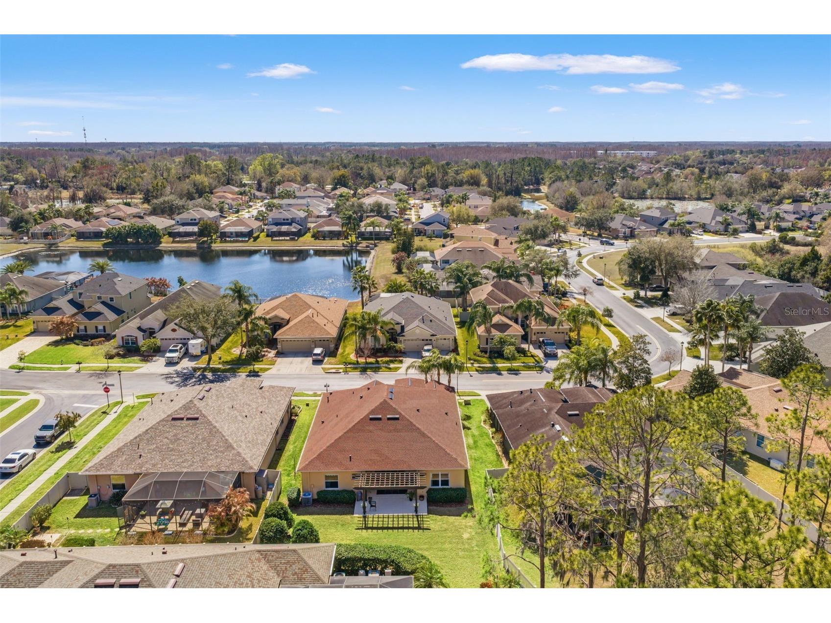 3303 Stonegate Falls Drive Land O Lakes FL 34638 W7883182 image66