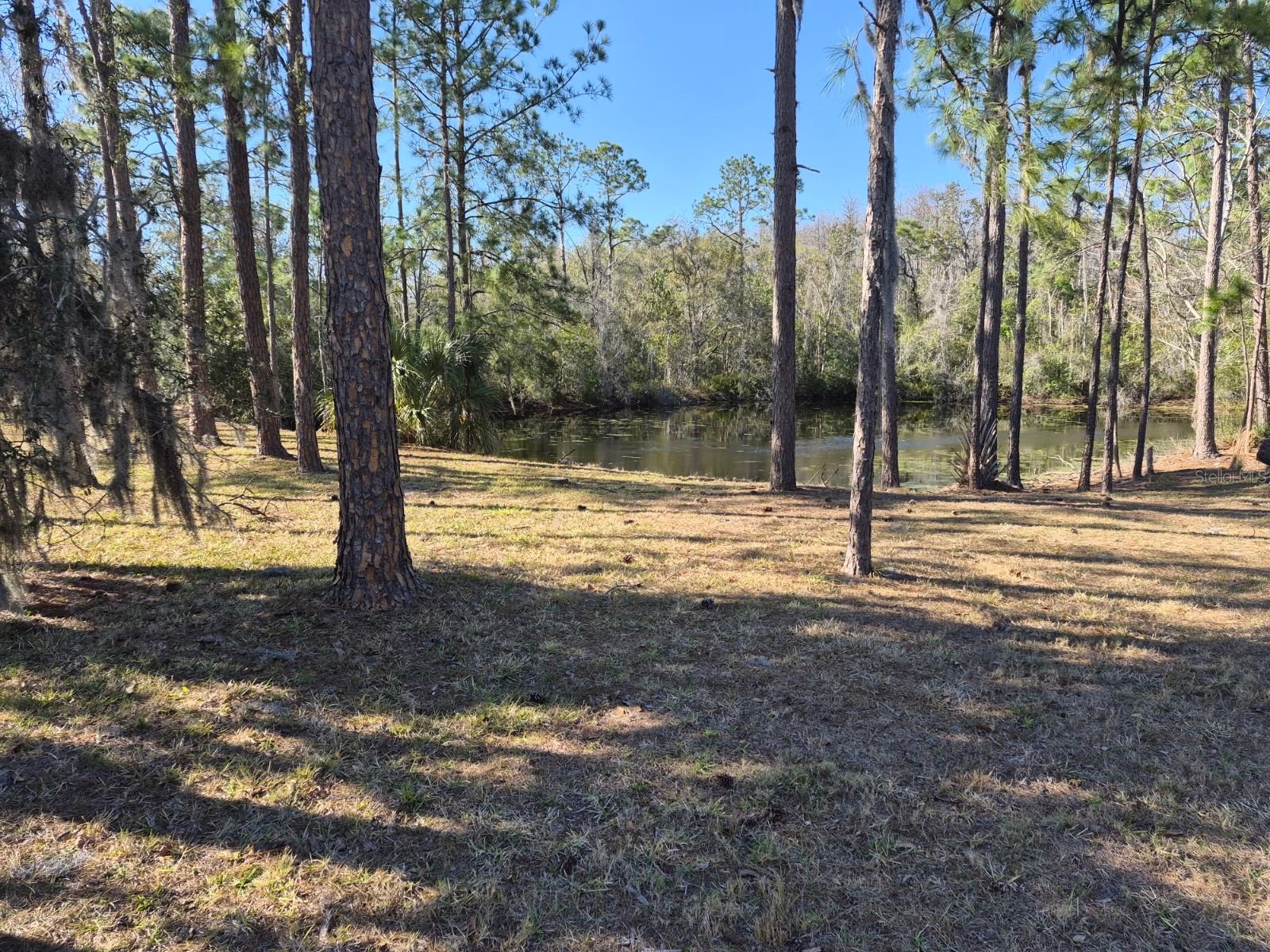 3303 Stonegate Falls Drive Land O Lakes FL 34638 W7883182 image8