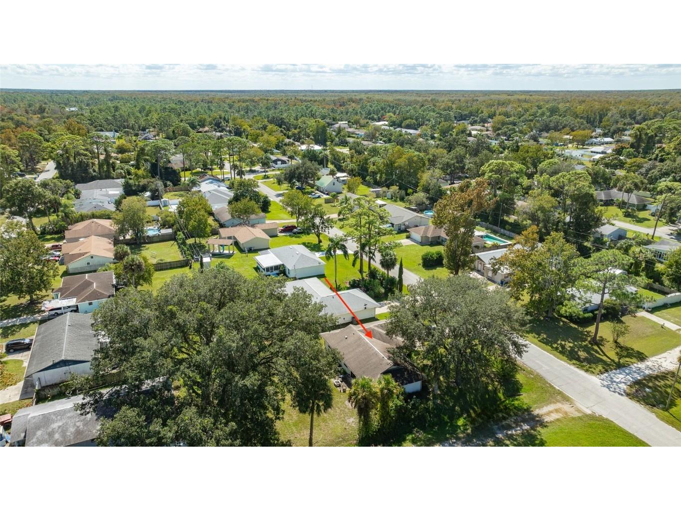 3303 Yule Tree Drive Edgewater FL 32141 NS1086307 image30