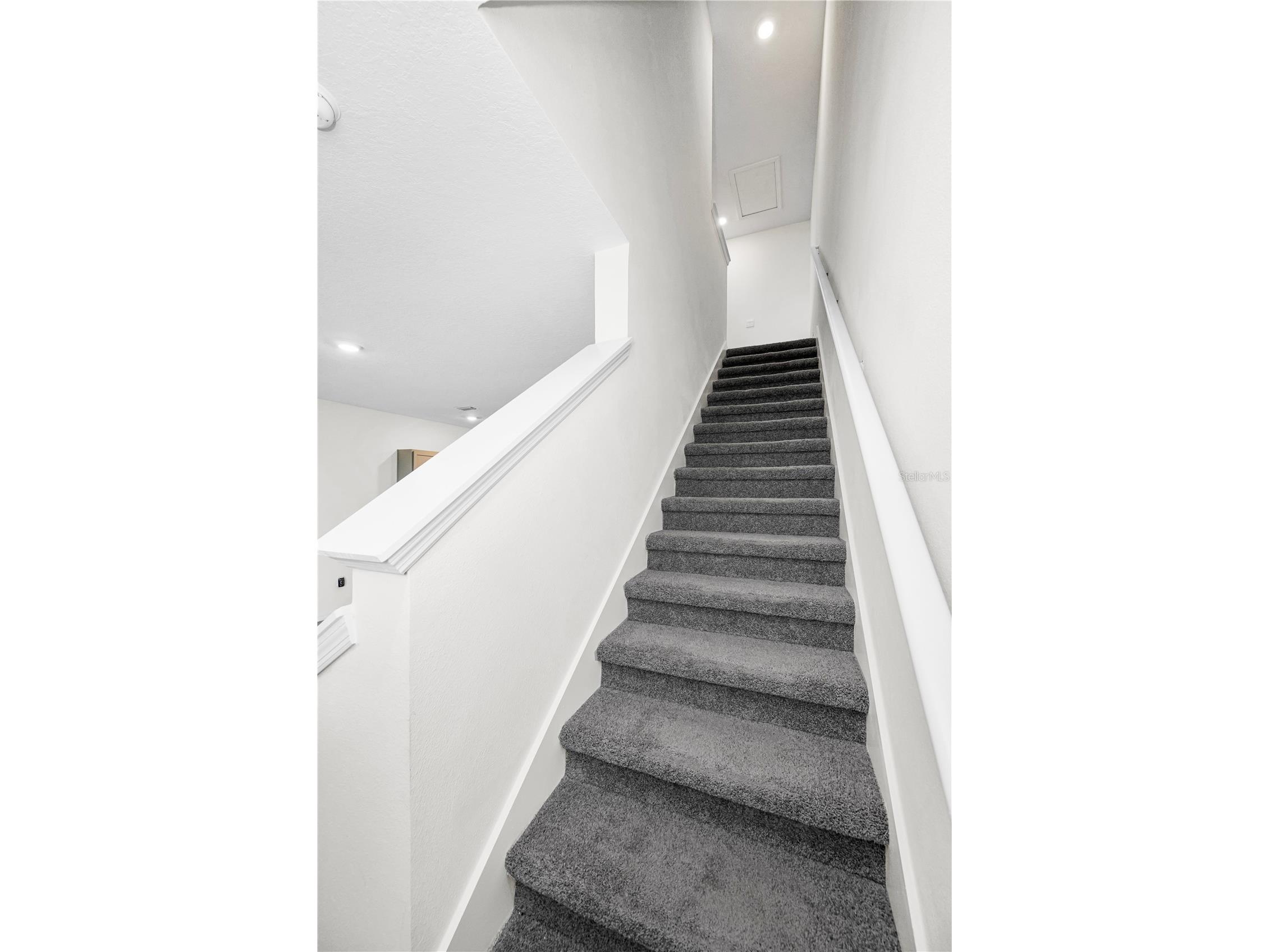 33034 Major Oak Drive Wesley Chapel FL 33545 TB8473280 image14