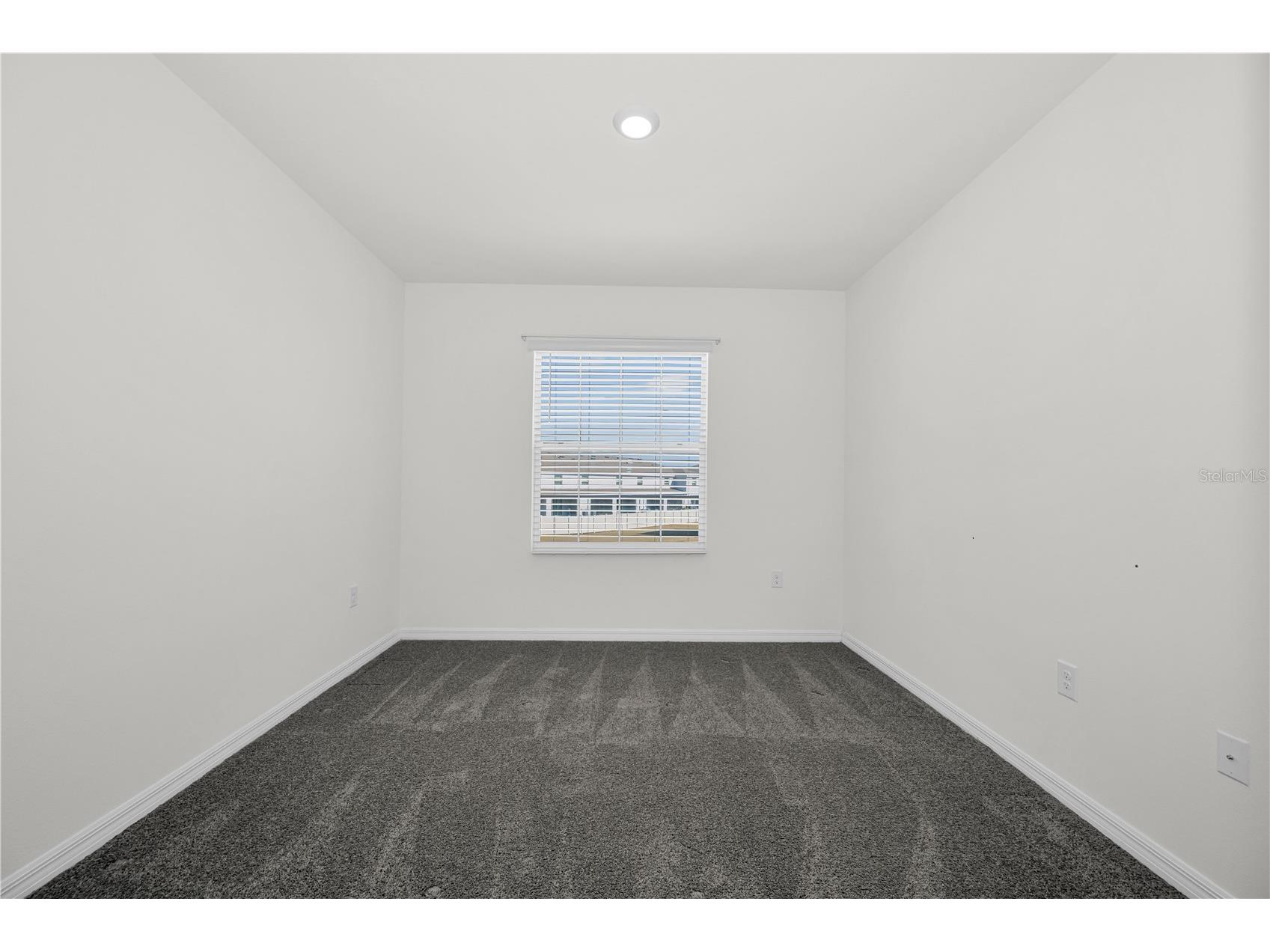 33034 Major Oak Drive Wesley Chapel FL 33545 TB8473280 image22