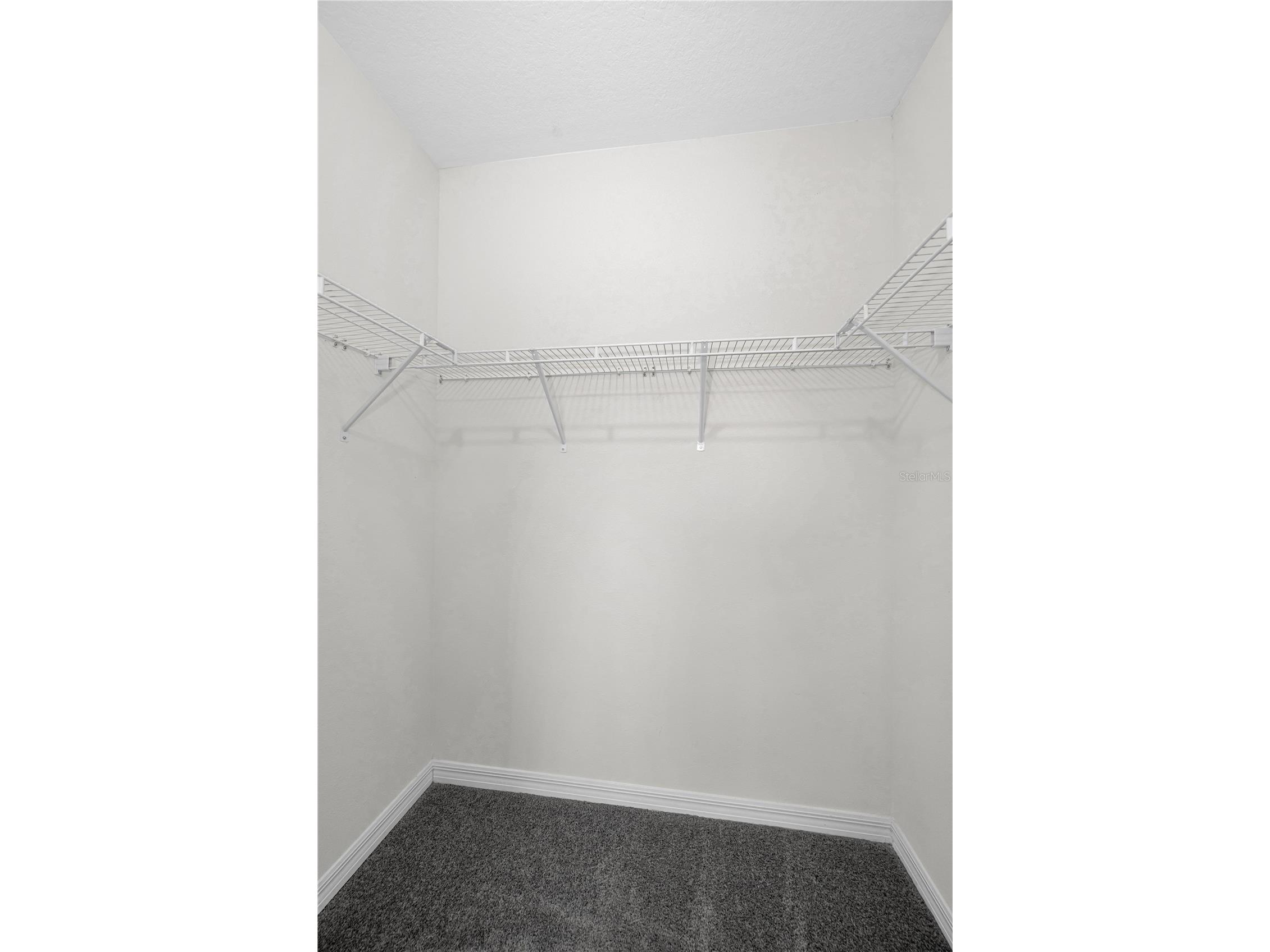 33034 Major Oak Drive Wesley Chapel FL 33545 TB8473280 image25