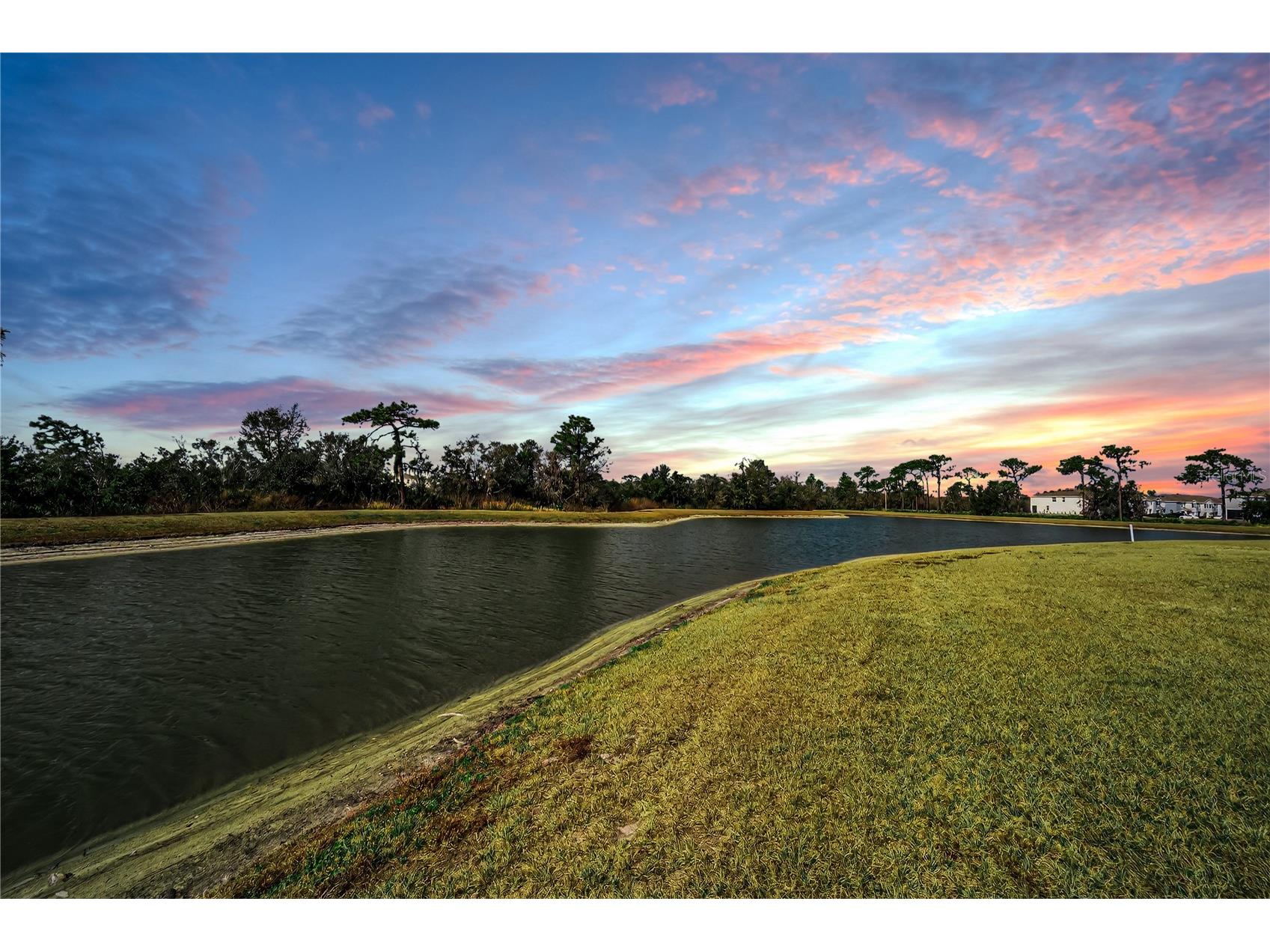 33034 Major Oak Drive Wesley Chapel FL 33545 TB8473280 image29