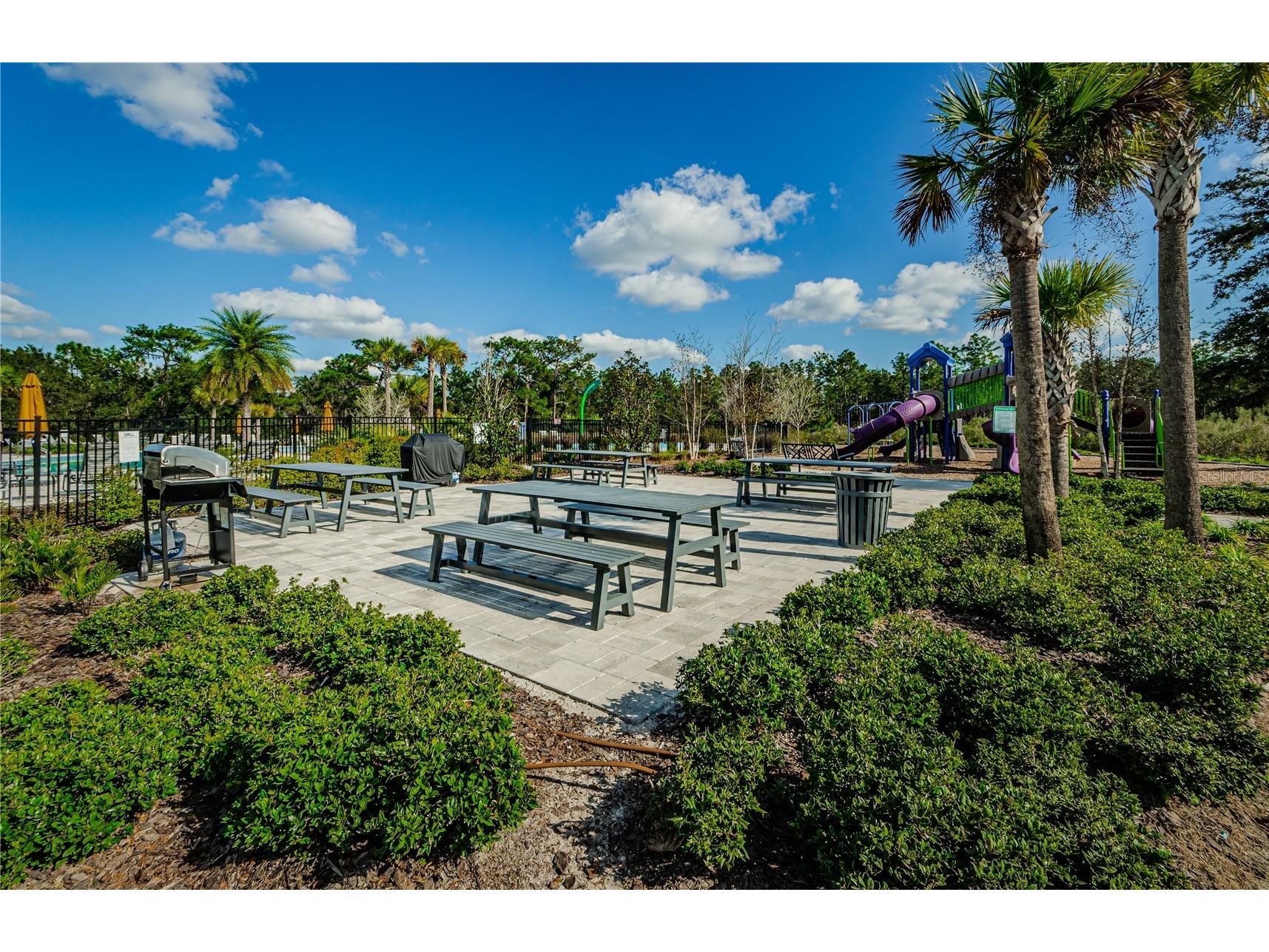 33034 Major Oak Drive Wesley Chapel FL 33545 TB8473280 image39