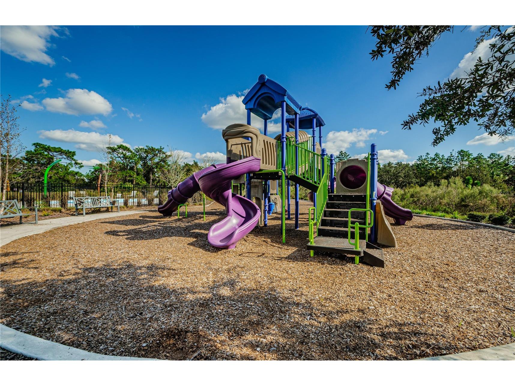 33034 Major Oak Drive Wesley Chapel FL 33545 TB8473280 image40