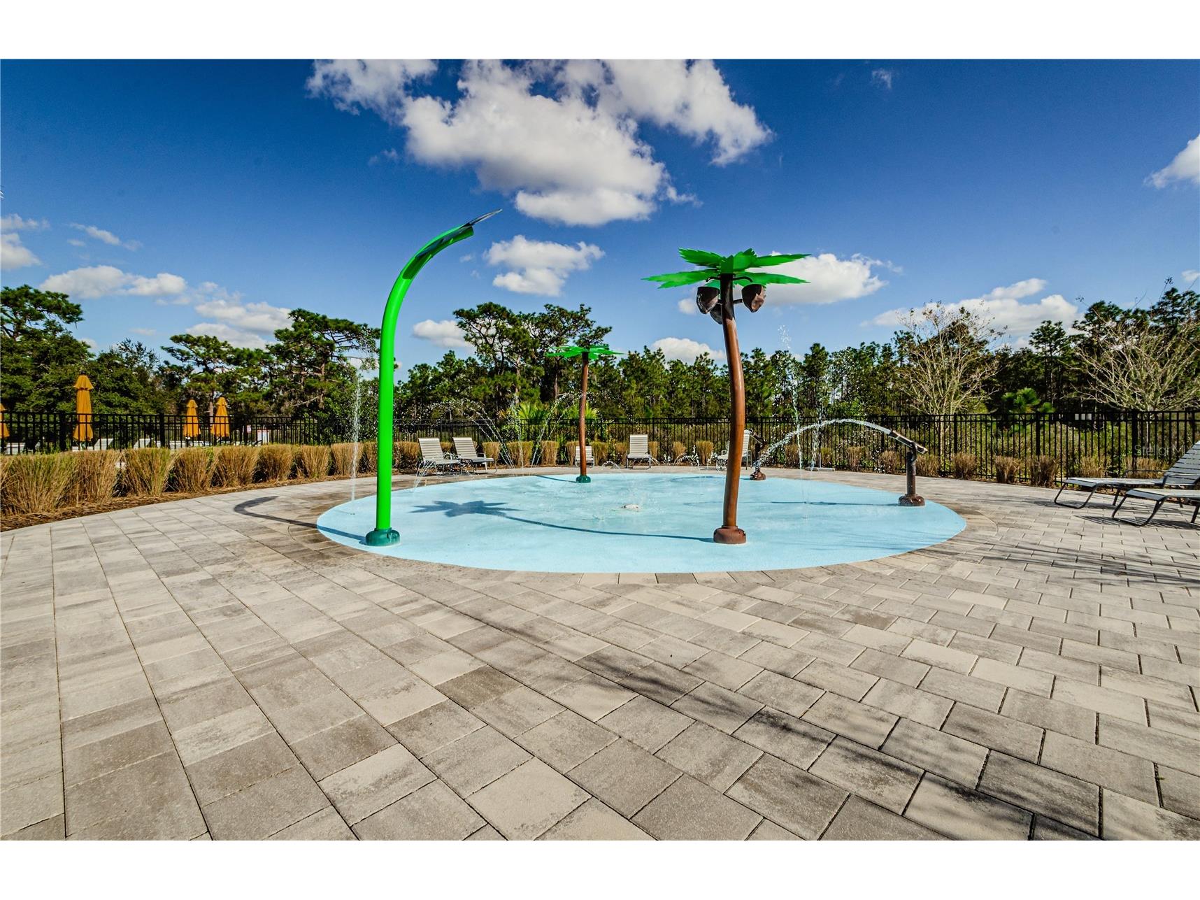 33034 Major Oak Drive Wesley Chapel FL 33545 TB8473280 image43