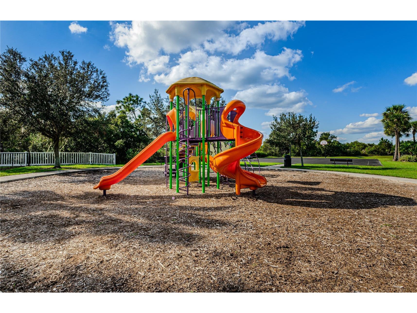 33034 Major Oak Drive Wesley Chapel FL 33545 TB8473280 image45