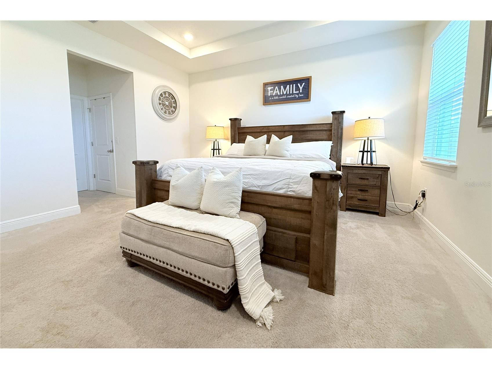 33034 Sand Creek Drive Wesley Chapel FL 33543 TB8464832 image27