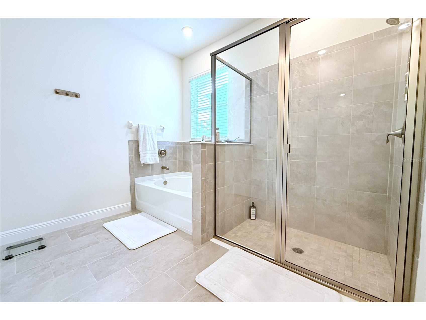 33034 Sand Creek Drive Wesley Chapel FL 33543 TB8464832 image30