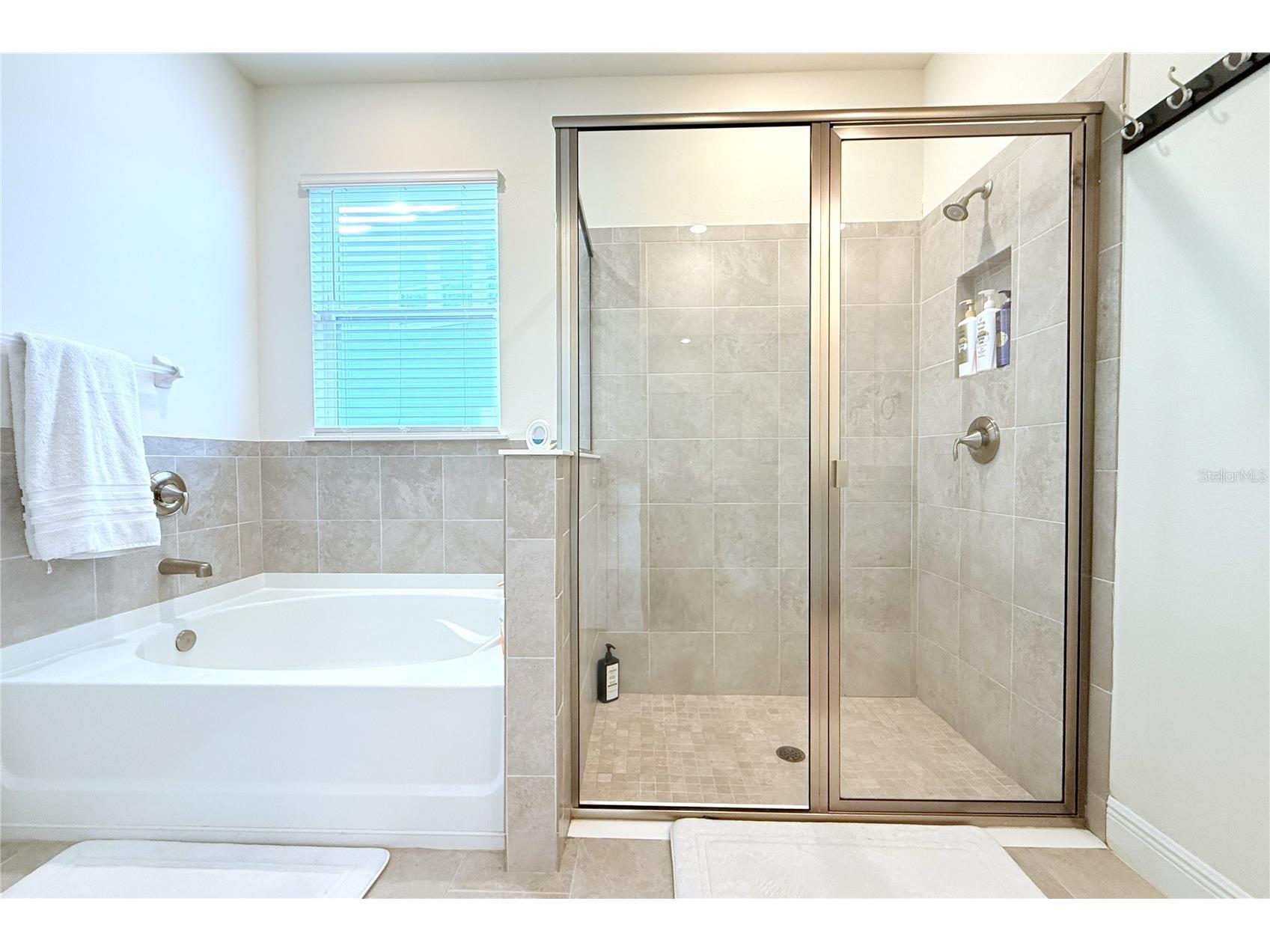 33034 Sand Creek Drive Wesley Chapel FL 33543 TB8464832 image31