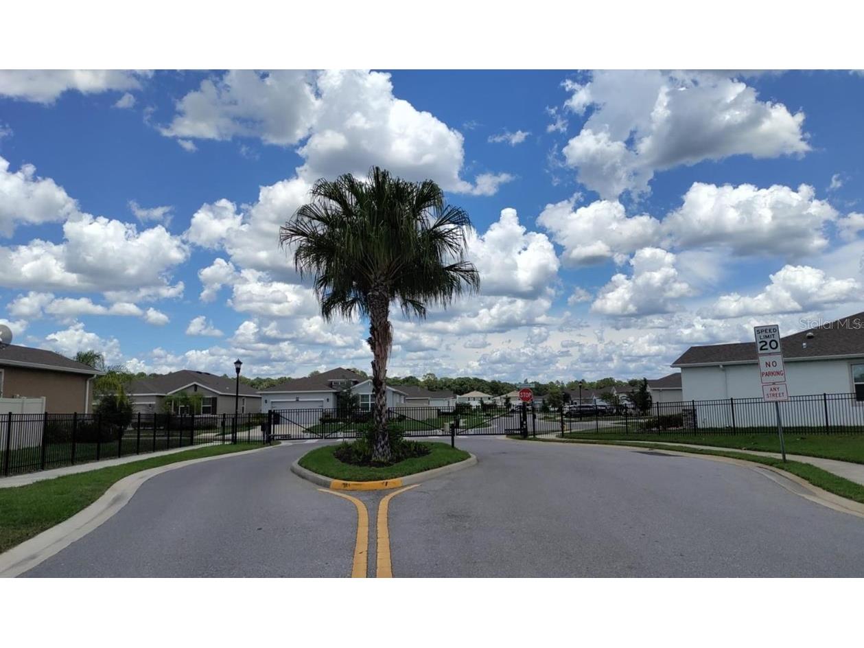 33034 Sand Creek Drive Wesley Chapel FL 33543 TB8464832 image47