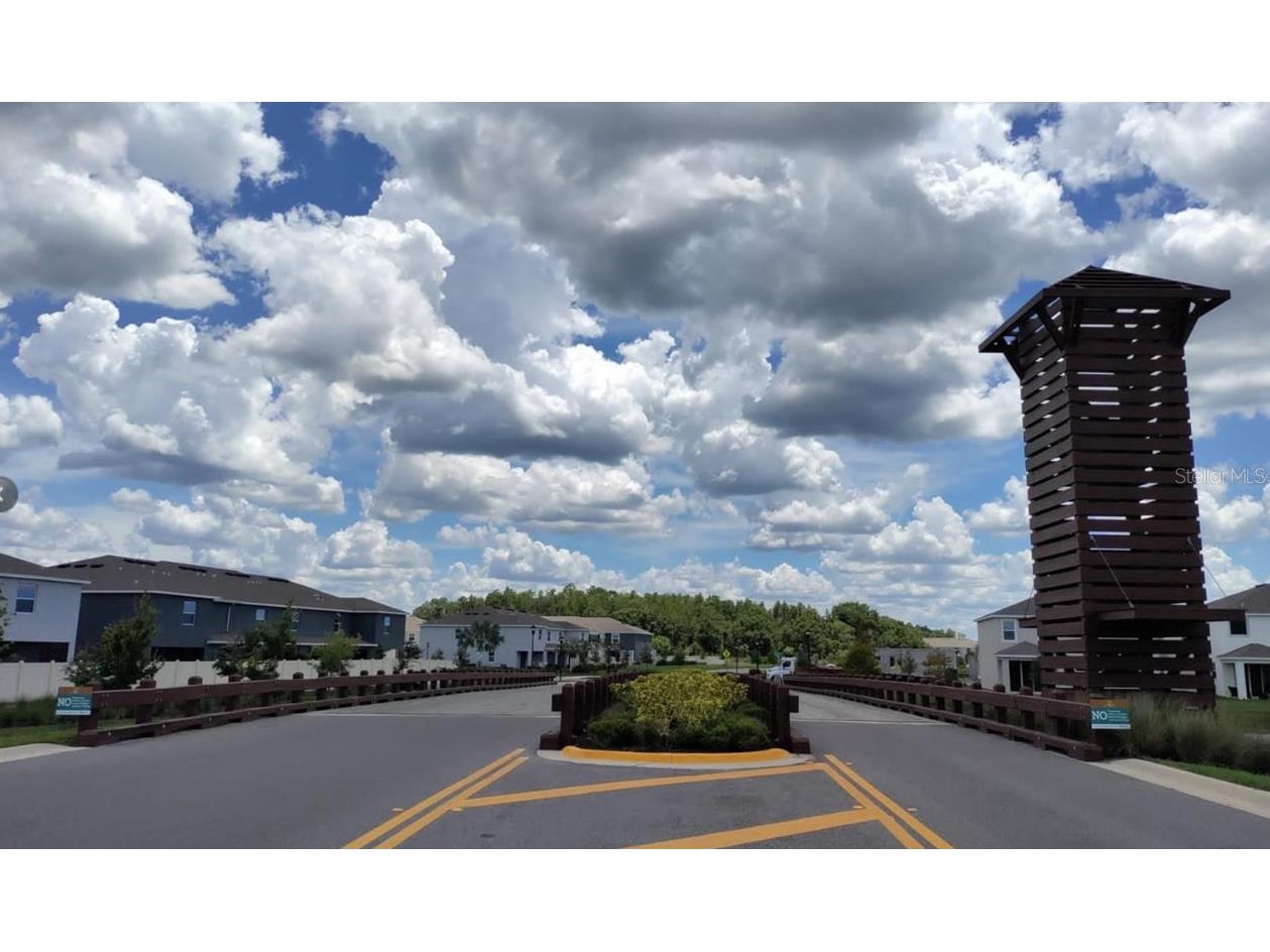 33034 Sand Creek Drive Wesley Chapel FL 33543 TB8464832 image48