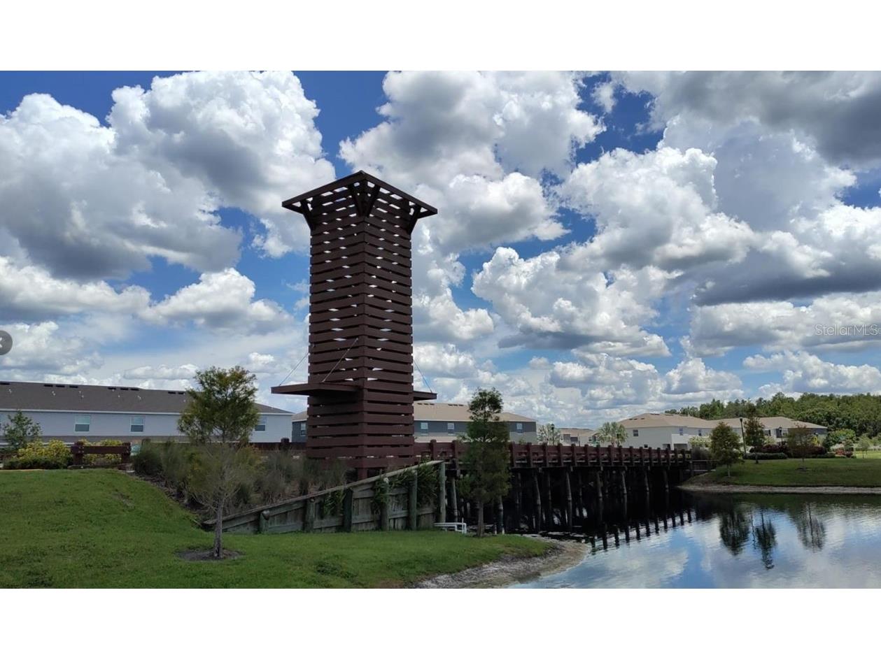 33034 Sand Creek Drive Wesley Chapel FL 33543 TB8464832 image49