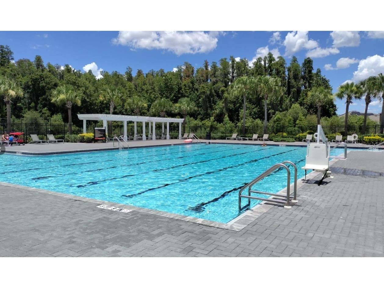 33034 Sand Creek Drive Wesley Chapel FL 33543 TB8464832 image52