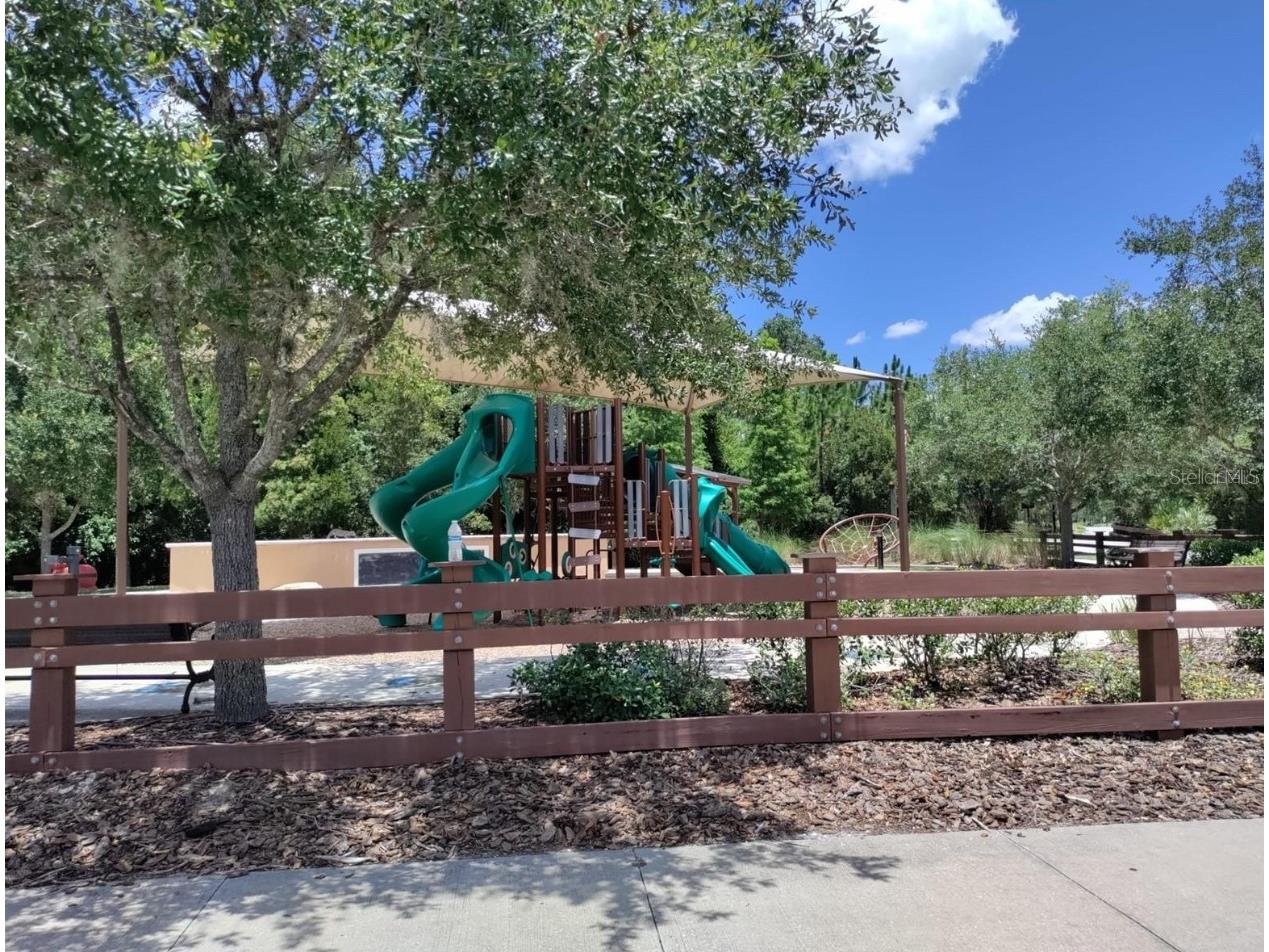 33034 Sand Creek Drive Wesley Chapel FL 33543 TB8464832 image55