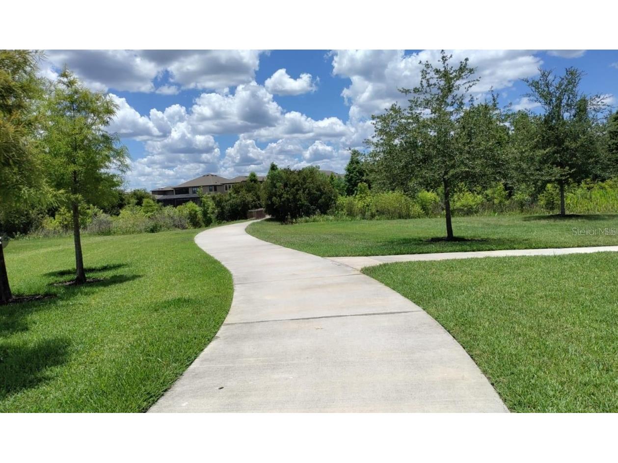 33034 Sand Creek Drive Wesley Chapel FL 33543 TB8464832 image56